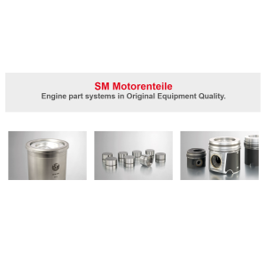 Jeu de segments de piston SM pour Mercedes-Benz 4.2L OM904 STD X1