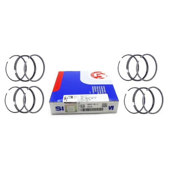 Piston ring set SM for Citroen Fiat Iveco Peugeot F1CE3481M F1CE0481L 3.0L Diesel STD X4