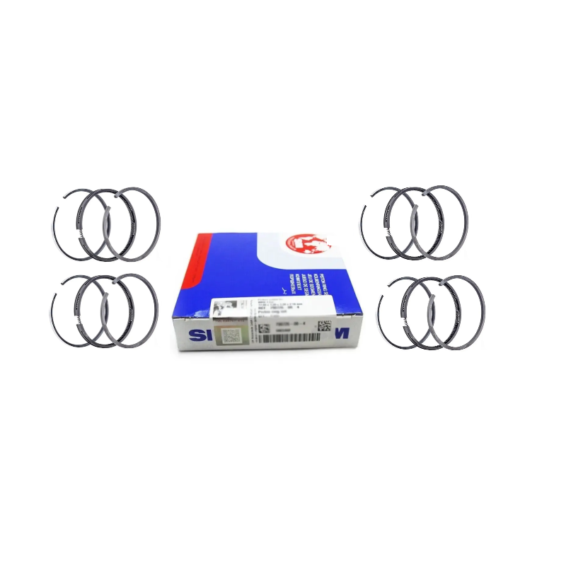 Piston ring set SM for Fiat Iveco 2.3JTD F1AE0481 STD X4